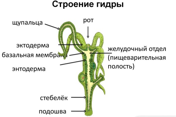 Kraken маркетплейс зеркала