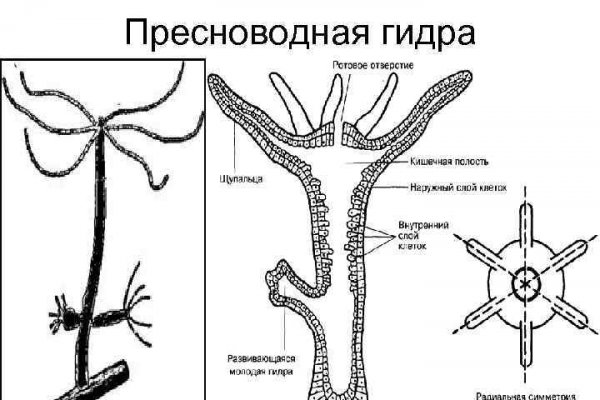 2krn at что такое