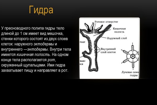 Кракен онион kraken014 com